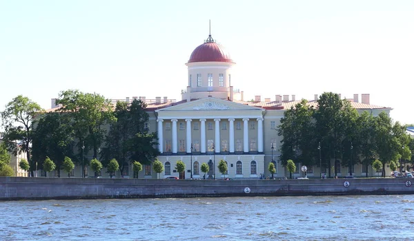 The Institute of Russian literature, 4 naberegnaya Makarova, Saint-Petersburg, Russia — Stock Photo, Image