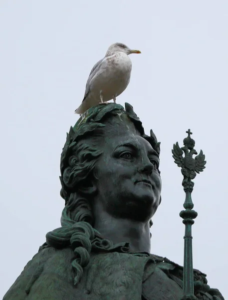 Pták na hlavu památník Kateřina veliká, Něvský prospekt Petrohrad Rusko-říjen 2017 — Stock fotografie