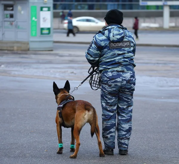 Женщина Полицейский Служебной Собакой Улица Коллонтая Санкт Петербург Россия Январь — стоковое фото