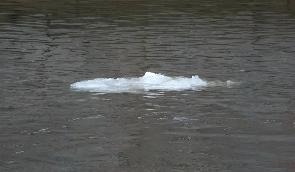 Ghiacciaio Solitario Che Galleggia Nell Acqua Oscura Del Fiume — Foto Stock