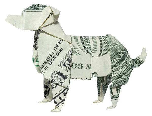 Denaro Origami Australian Shepherd Dog Piegato Con Dollaro Reale Bill — Foto Stock