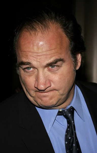 Actor Jim Belushi — Foto de Stock