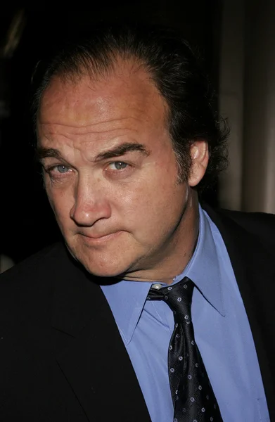 Actor Jim Belushi — Foto de Stock