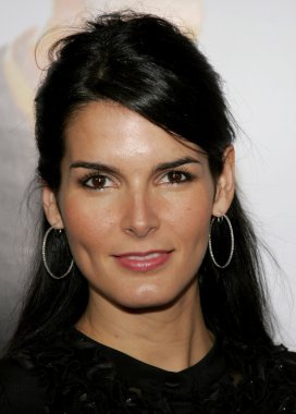 aktris Angie Harmon