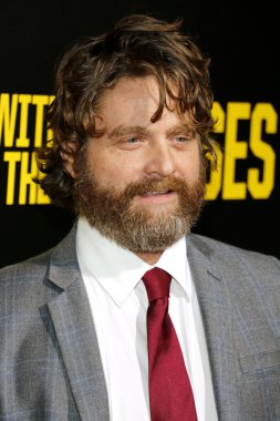 Aktör Zach Galifianakis