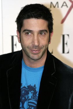aktör David Schwimmer