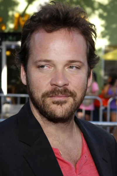 Agente Peter Sarsgaard — Foto de Stock