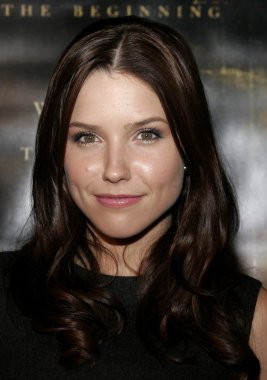 Aktris Sophia Bush