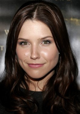 Aktris Sophia Bush