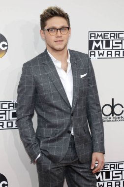 şarkıcı Niall Horan