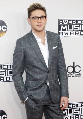 şarkıcı Niall Horan