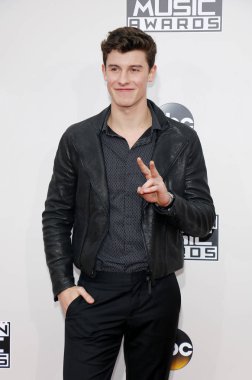 şarkıcı, sözyazarı Shawn Mendes