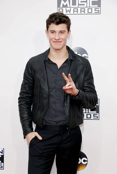 Singer-songwriter Shawn Mendes — Stock Photo, Image