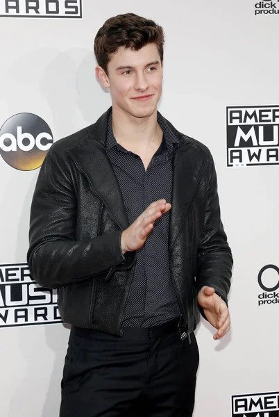 Singer-songwriter Shawn Mendes — Stock Photo, Image