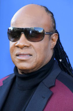 müzisyen Stevie Wonder