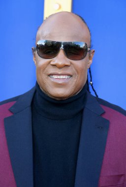 şarkıcı Stevie Wonder