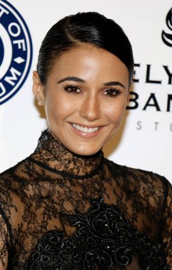 aktris emmanuelle chriqui