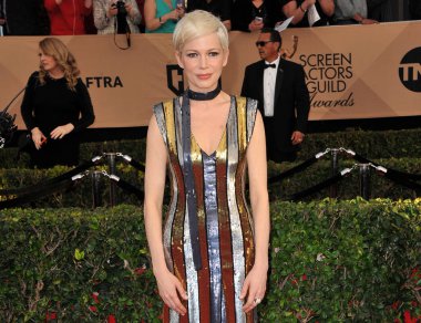 aktris Michelle Williams