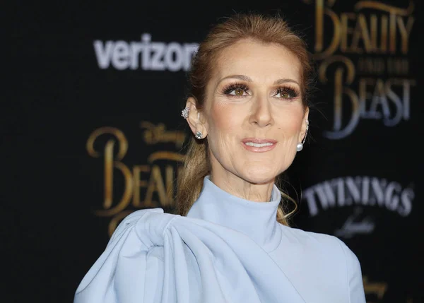 Cantante Celine Dion — Foto Stock