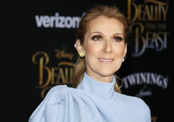 Singer Celine Dion — Stock Photo, Image