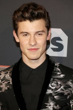 şarkıcı Shawn Mendes