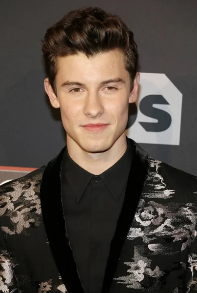 Singer Shawn Mendes — Stock Photo, Image