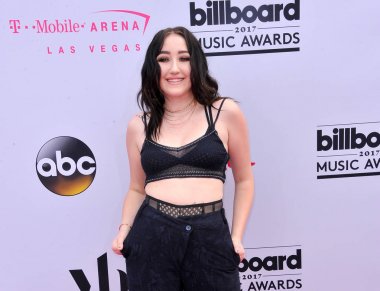 şarkıcı Noah Cyrus