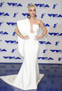 Şarkıcı Katy Perry