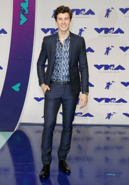 şarkıcı Shawn Mendes