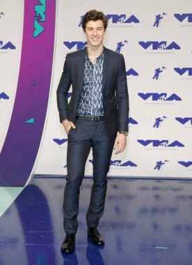 şarkıcı Shawn Mendes