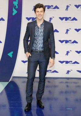 şarkıcı Shawn Mendes