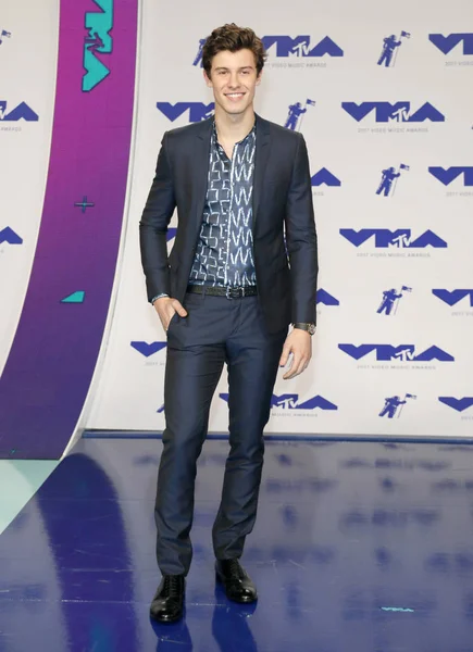 şarkıcı Shawn Mendes