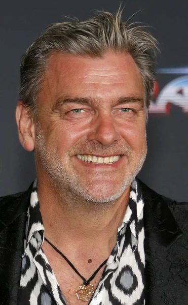 Skådespelaren Ray Stevenson — Stockfoto