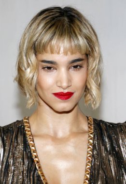 oyuncu Sofia Boutella