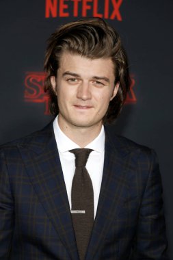 aktör Joe Keery