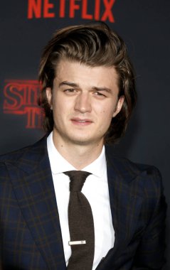 aktör Joe Keery