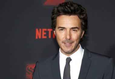 Yönetmen Shawn Levy