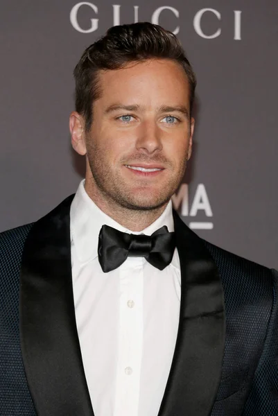 Attore Armie Hammer — Foto Stock