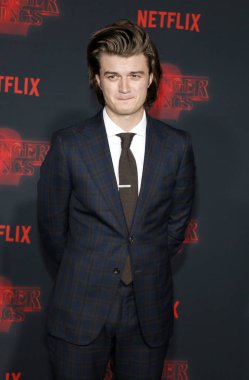 aktör Joe Keery