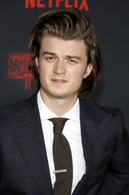 aktör Joe Keery