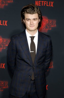 aktör Joe Keery