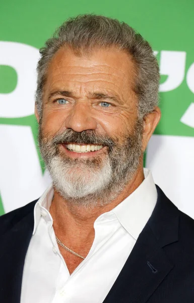 Aktör Mel Gibson