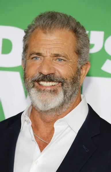 Cinéaste Mel Gibson Première Los Angeles Daddy Home Tenue Regency — Photo