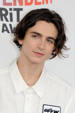 Timothee Chalamet