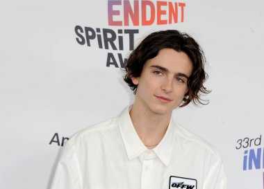 Timothee Chalamet