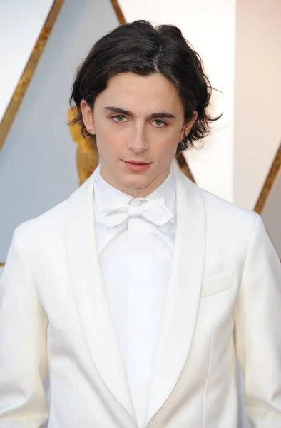 Timothee Chalamet Los 90º Premios Anuales Academia Celebrados Dolby Theatre —  Fotos de Stock