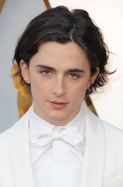 Timothee Chalamet — Stockfoto