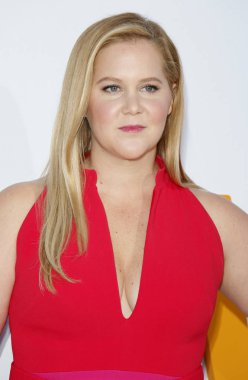 Amy Schumer