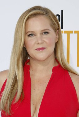 Amy Schumer