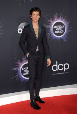 Şarkıcı Shawn Mendes, Los Angeles, Usa 'daki Microsoft Theater' da 24 Kasım 2019 'da düzenlenen 2019 Amerikan Müzik Ödülleri' nde.